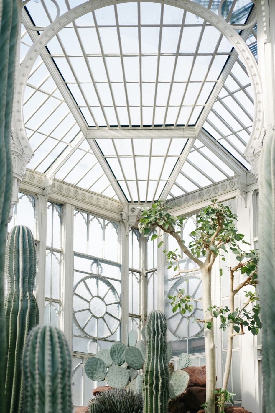 The back greenhouse