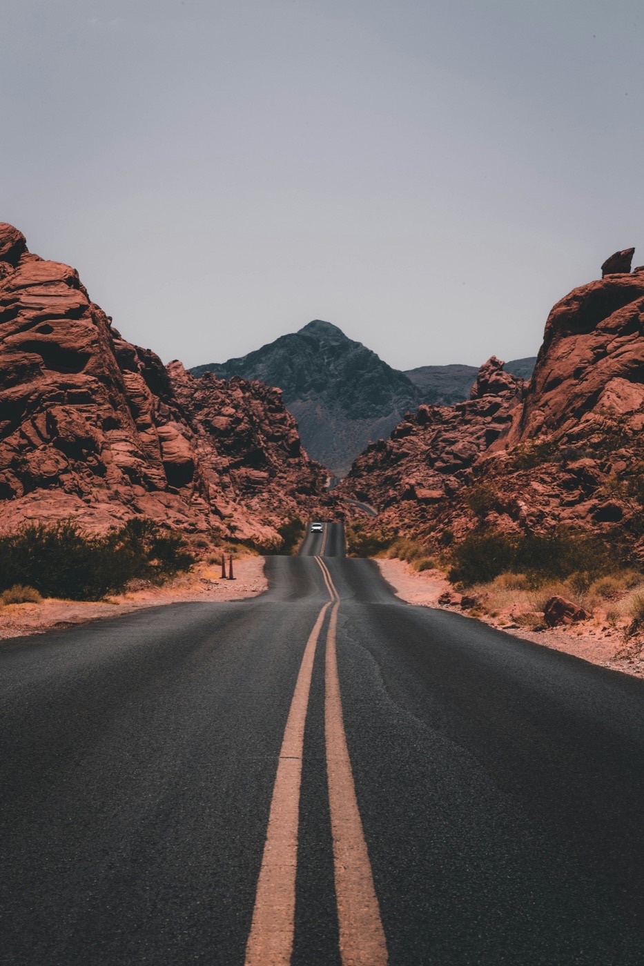 Dreamlike landscape