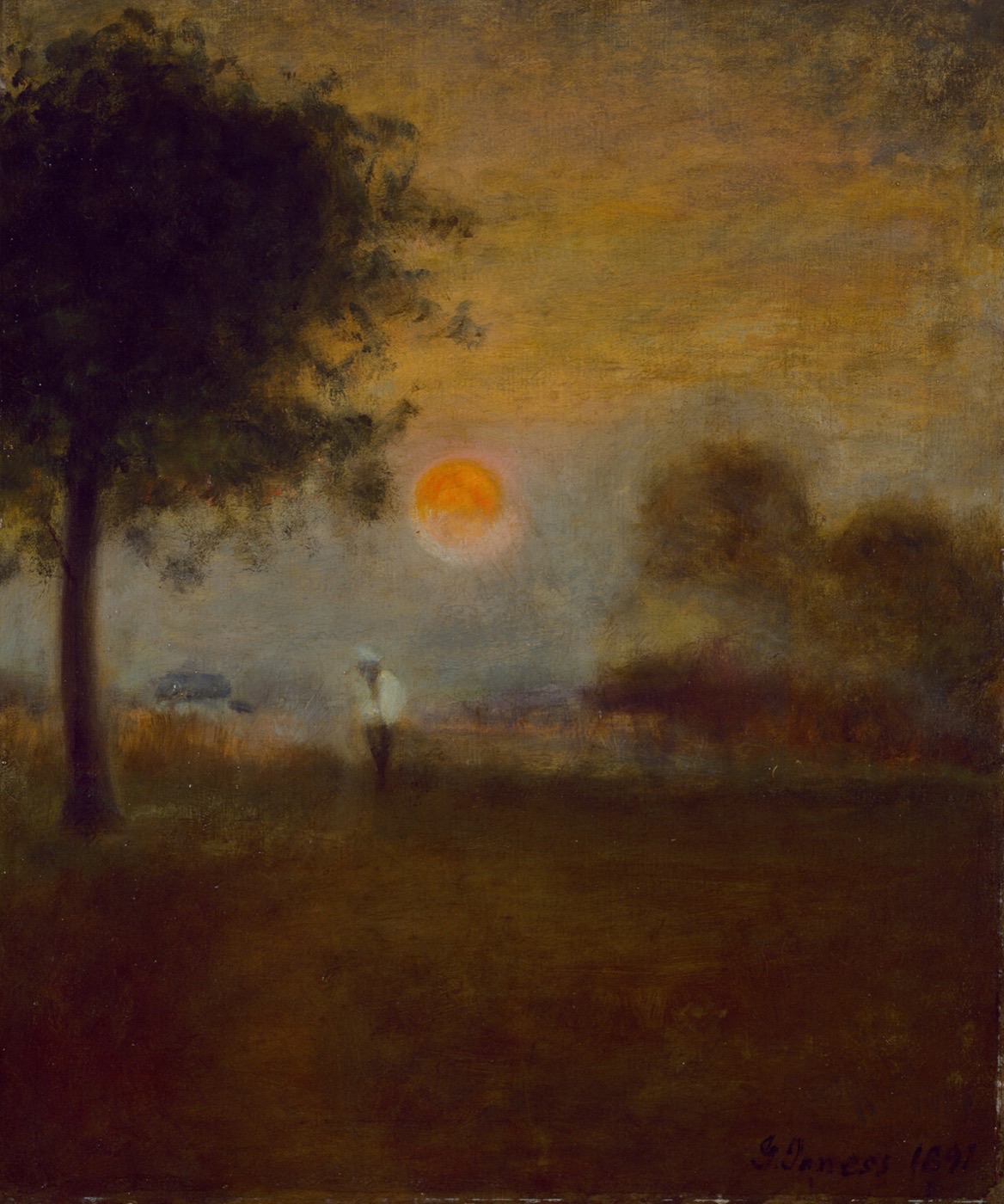 Low Sun, High Grass